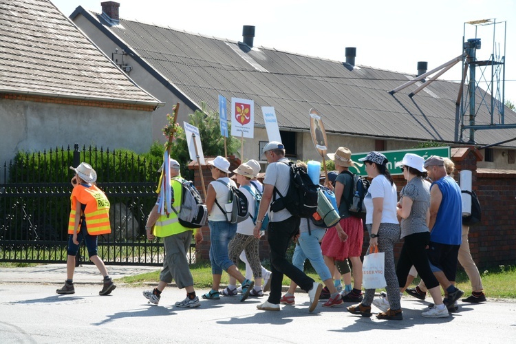 Strumień opolski w Kosorowicach