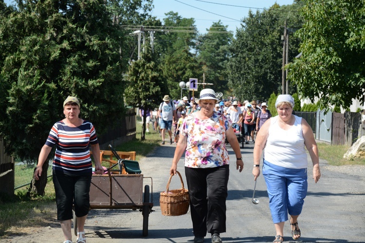 Strumień opolski w Kosorowicach