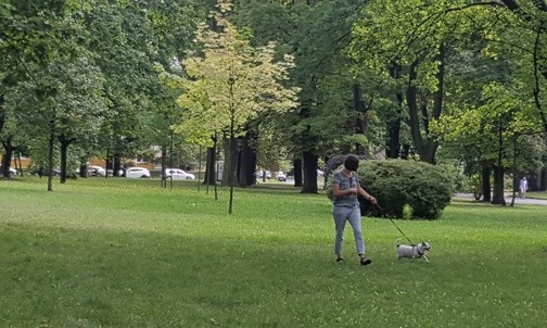 Rewitalizacja parku Boguckiego w Katowicach