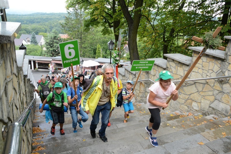 Strumień nyski u św. Anny