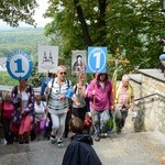 Strumień opolski już na Górze św. Anny