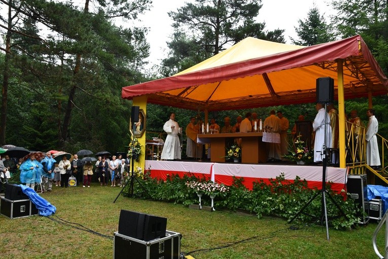 Diecezjalna Pielgrzymka Rodzin