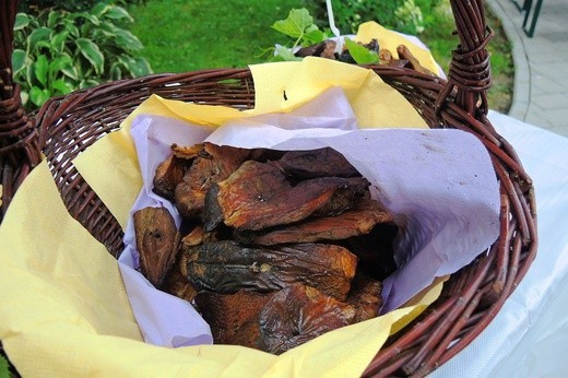 Piknik parafialny i "Bukiet ziela" w Głębowicach - 2018