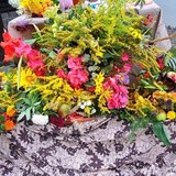 Piknik parafialny i "Bukiet ziela" w Głębowicach - 2018