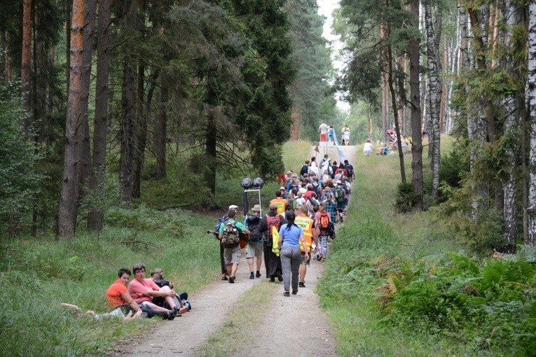 W drodze do Zawadzkiego
