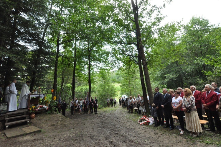 Pamiętają o Liberatorze