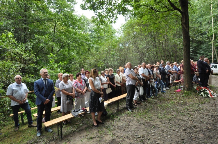 Pamiętają o Liberatorze