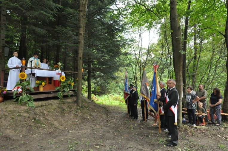 Pamiętają o Liberatorze