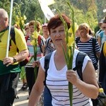 "Jedynki" na ostatniej prostej