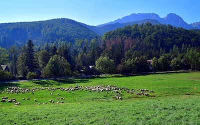 Taniec z widokiem na Tatry 