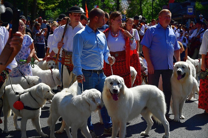 Modlitwa o pokój i korowód przez miasto 