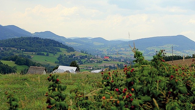 Widok potęguje zapach lasów świerkowych, zbóż i malin.