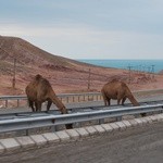 Chrześcijanie z Turkmenistanu