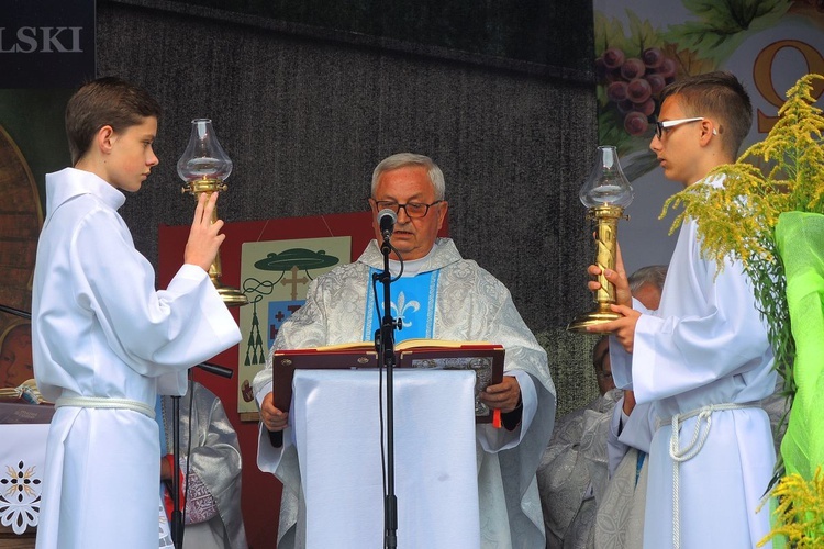 Dożynki diecezjalno-powiatowe, Bystra Krakowska 2018