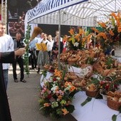 Łamany chleb, wino w Kanie - znaki, które mówią