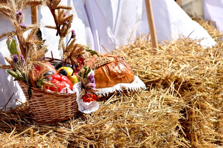 Dożynki gminy Świdnica 2018