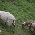 II turnus "Wakacji z Bogiem" w Zagórzu Śląskim