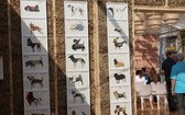Ekologiczna chata na katowickim Rynku