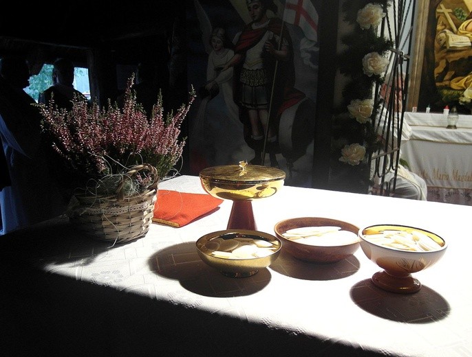 Ślubowana Msza na Magdalence