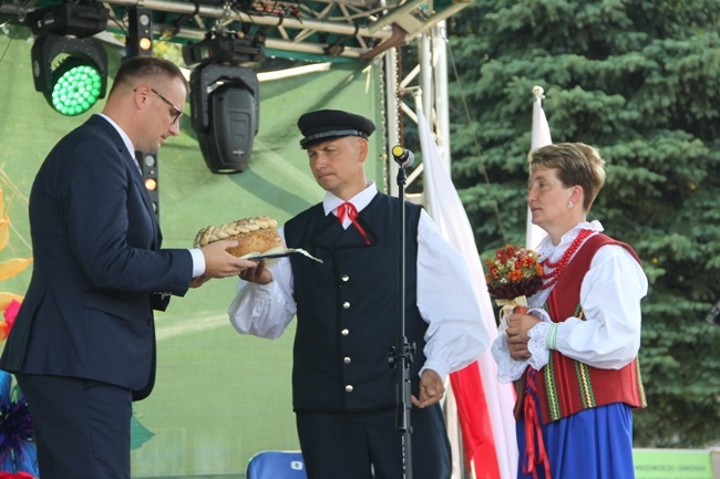 Święto plonów w Jedlińsku