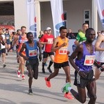 Wrocławski maraton