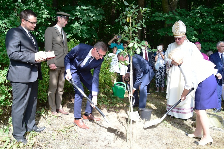 Odpust i dożynki diecezjalne w Gietrzwałdzie