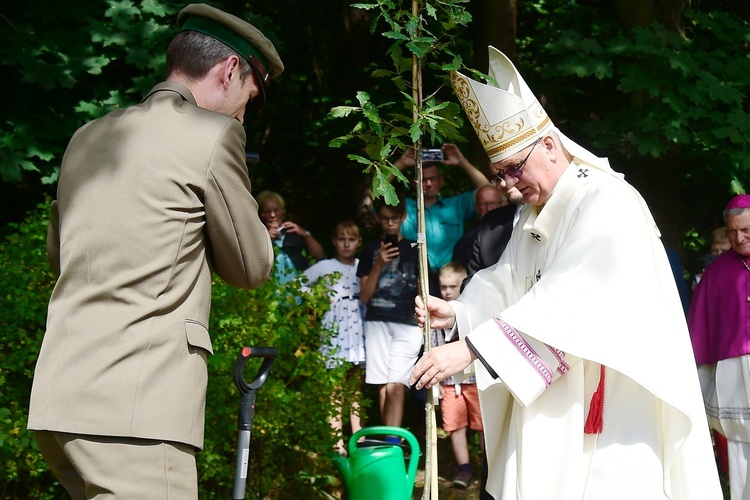 Odpust i dożynki diecezjalne w Gietrzwałdzie