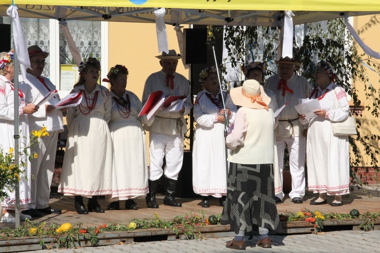 Piknik dominikański