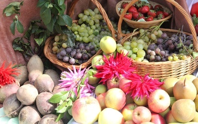 Tarnobrzeski Dzień Działkowca