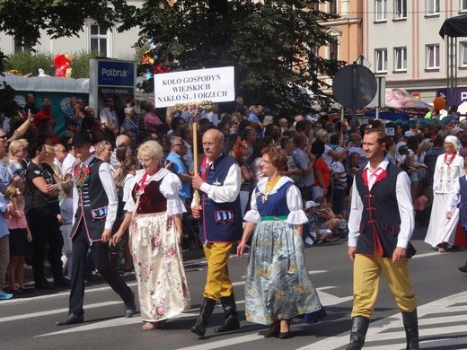 Gwarki 2018