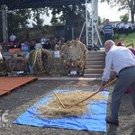 Diecezjalne Dożynki w Wambierzycach