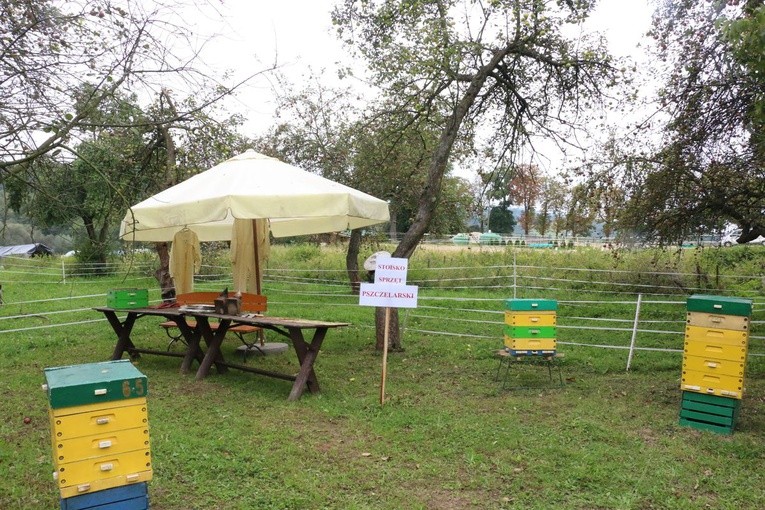 "Miodobranie-Miodogranie" w Konarach 2018