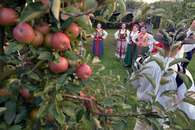 Msza św. w intencji śp. abp. Zygmunta Zimowskiego