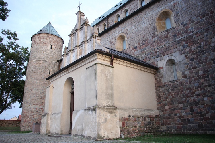 Msza św. za ojczyznę w tumskiej archikolegiacie