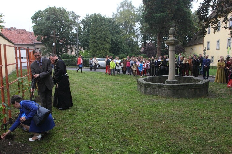 Lubomierz i św. Maternus