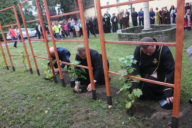 Lubomierz i św. Maternus