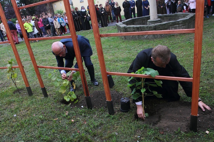 Lubomierz i św. Maternus