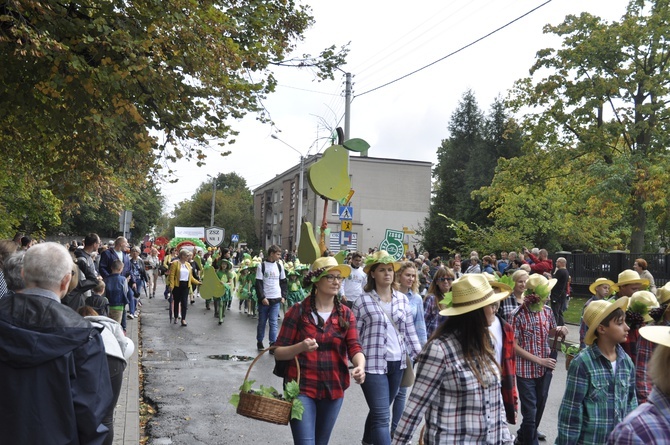 Skierniewickie Święto Kwiatów, Owoców i Warzyw - parada, cz. 1