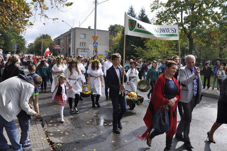 Skierniewickie Święto Kwiatów, Owoców i Warzyw - parada, cz. 1