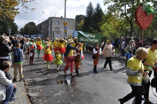 Skierniewickie Święto Kwiatów, Owoców i Warzyw - parada, cz. 1