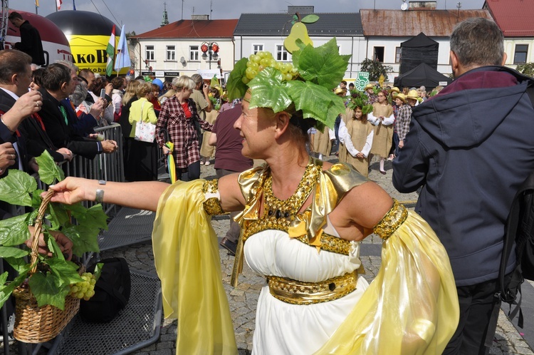 Skierniewickie Święto Kwiatów, Owoców i Warzyw - parada, cz. 1