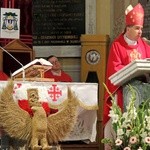 Poświęcenie krzyża misyjnego w Żychlinie