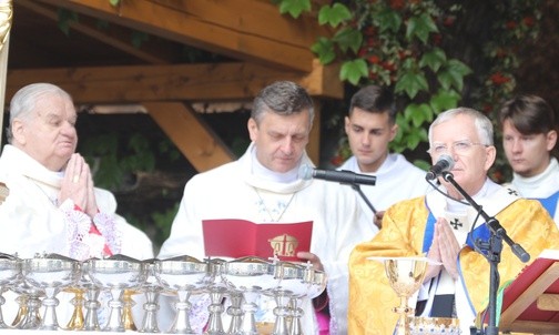 Abp Jędraszewski: Maryja uczy nas nieść krzyż