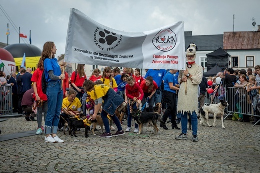 Skierniewickie Święto Kwiatów, Owoców i Warzyw - parada, cz. 2