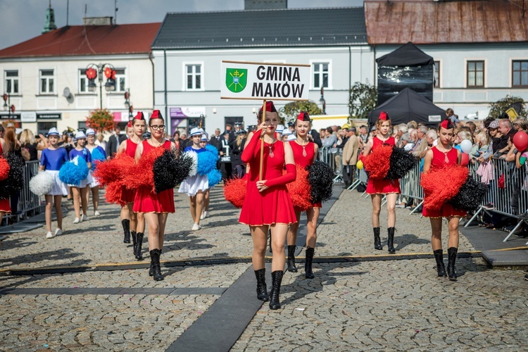 Skierniewickie Święto Kwiatów, Owoców i Warzyw - parada, cz. 2