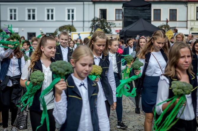 Skierniewickie Święto Kwiatów, Owoców i Warzyw - parada, cz. 2