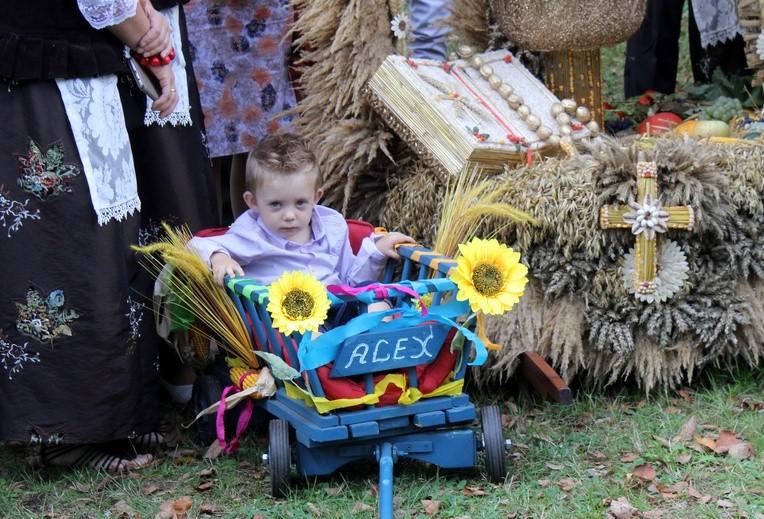 Dożynki diecezjalne w Rudach