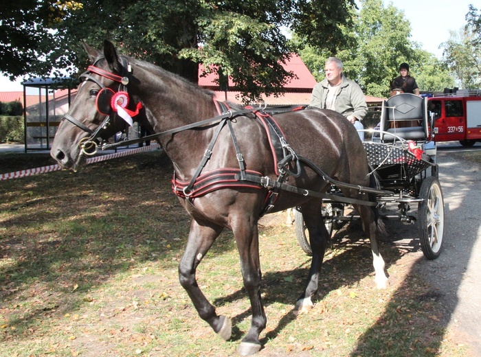 Konno do Matki Bożej Bolesnej