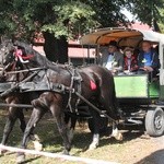 Konno do Matki Bożej Bolesnej