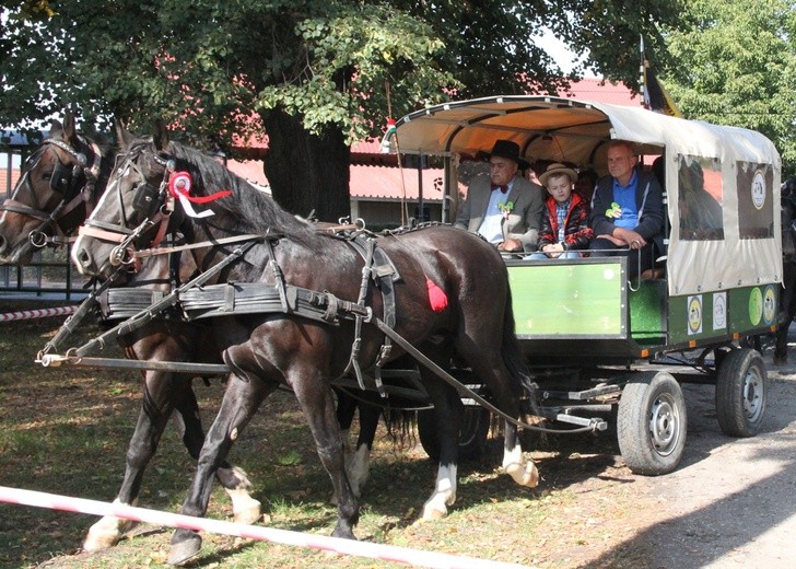 Konno do Matki Bożej Bolesnej